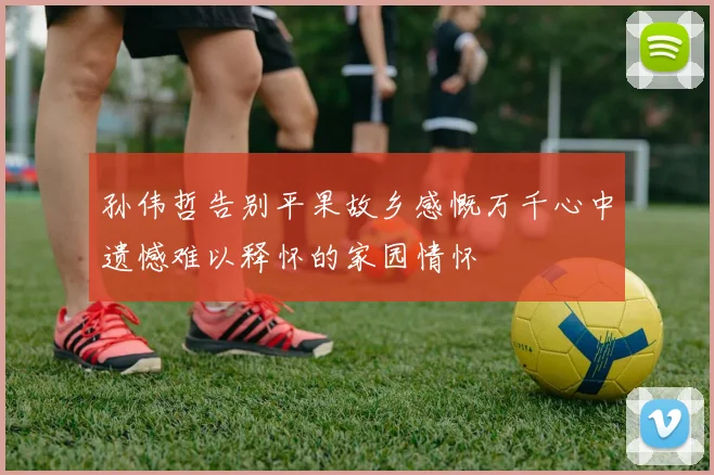 孙伟哲告别平果故乡感慨万千心中遗憾难以释怀的家园情怀